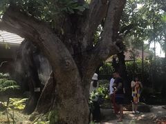 -Chom Cafe and Restaurant