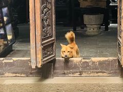 -南浔古镇