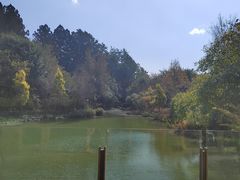 -和顺柏联温泉