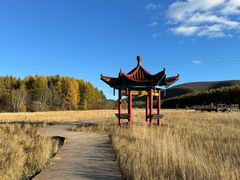 -塞罕坝国家级自然保护区