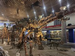 -国家自然博物馆