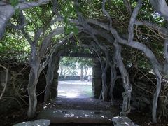 -庐山风景区花径公园