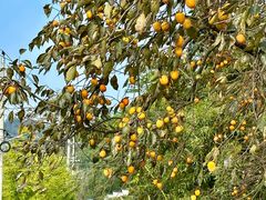 -东天目山风景区