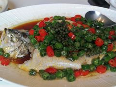 【招牌】十年花雕蒸鲥鱼-炳胜公馆(珠江新城店)