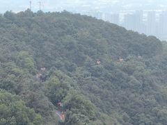 -杭州半山国家森林公园