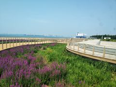 -东疆建设开发纪念公园