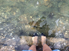 iphone_upload_pic-八大关景区