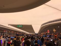 -英迪拉·甘地国际机场