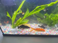 -三旗百汇商品城