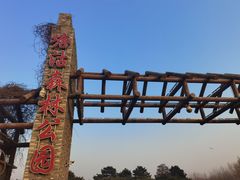 -塘沽森林公园