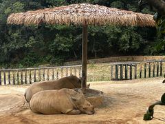 -泉州海丝野生动物世界