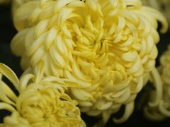 -汇龙潭
