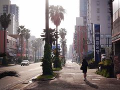 宝健路-宝健路步行街(Pedestrian Shopping Street)
