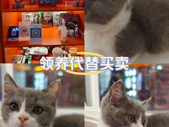 -博纳国际影城(皇庭店)