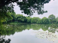 -西湖游船