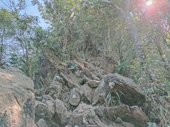 -梧桐山风景名胜区