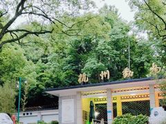 -杭州动物园