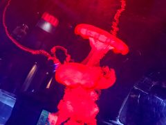 -迪拜水族馆及水下动物园