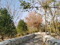 -阳台山自然风景区