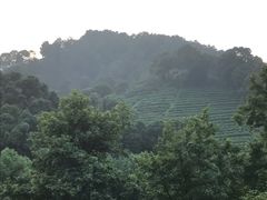 景观位-礼耕堂·百年茶人餐厅(梅家坞店)