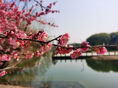 -白塘生态植物园