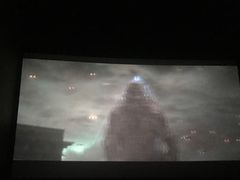 -金逸影城(武汉人信汇IMAX店)