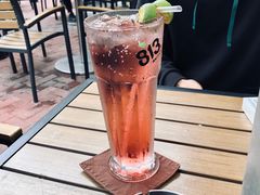 黑醋栗微苏打-813芭依珊 BAESAn(皇冠十畝地店)