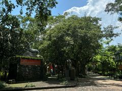 -海口火山口国家地质公园