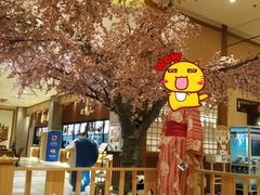 -大江户·温泉洗浴(浑南店)