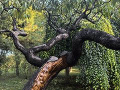 -钓鱼台国宾馆