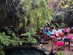 -Fern Forest Cafe