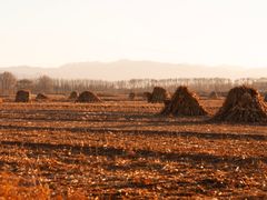 -野鸭湖国家湿地公园