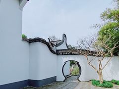 -上海醉白池公园