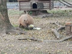 -上海野生动物园