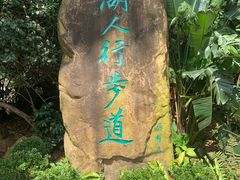 -深圳仙湖植物园