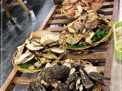 -易门野生菌府·菌海森林(月牙潭公园店)