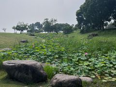-滆湖低碳生态公园