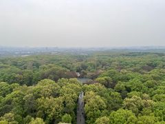 -灵谷景区