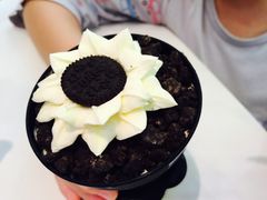 -DQ·蛋糕·冰淇淋(城南嘉园店)