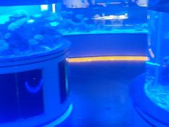 -上和臻品中国菜(花园街店)