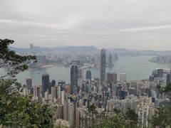 -太平山顶