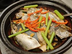 -桃源春晓中餐厅 TaoYuan Restaurant