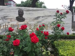 -文瀛公园