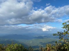 -江西阳明山国家森林公园