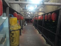 -鲤鱼塘农家山庄