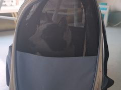 -汪喵宠物医院·骨科心脏影像·犬猫急重症ICU诊疗中心(成华分院)