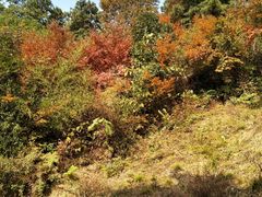 -敬亭山风景名胜区