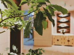 -汤泉良子·沐足·颂钵疗愈·SPA(珠江新城店)