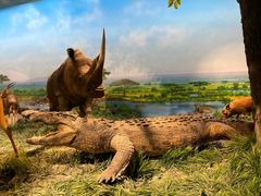 -国家自然博物馆