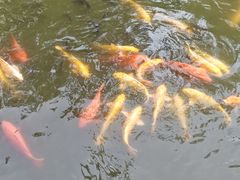 -伊喜饺子·烤鸭(五道口学院路店)